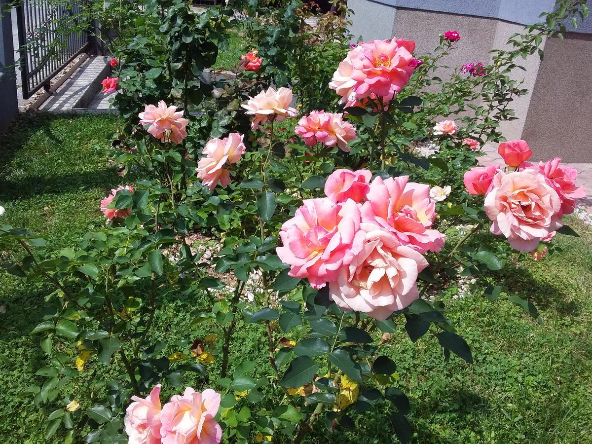 Apartment Villa Merci Sarajewo Zewnętrze zdjęcie